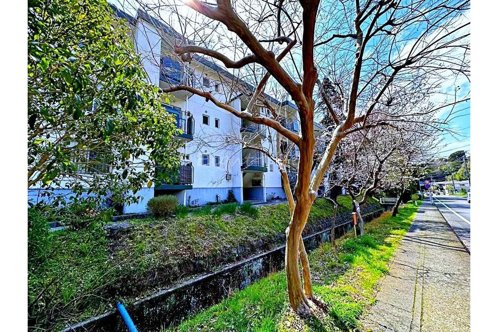 常磐ハイツ　3階部分